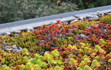 the cost of Waltham Forest green roof installation