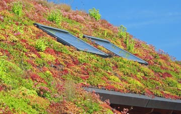 Waltham Forest living roof systems
