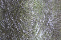 Waltham Forest fibreglass roof work